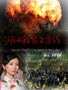 国产精品视频全国免费观看